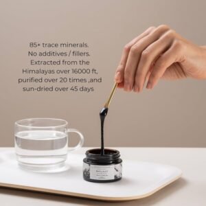 shilajit resina del himalaya