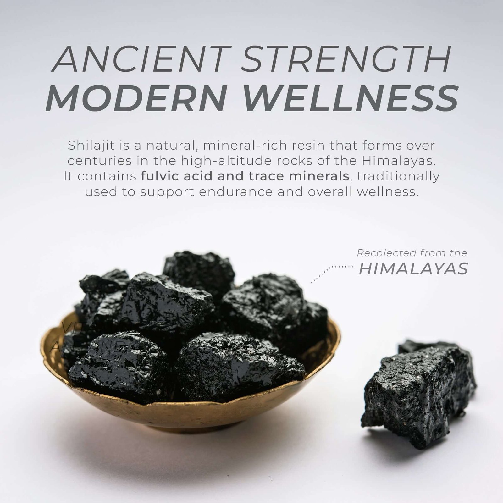 source of shilajit